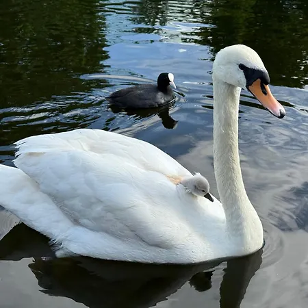 Unieke Woonark Met Privetuin En Free Parking. Apartman