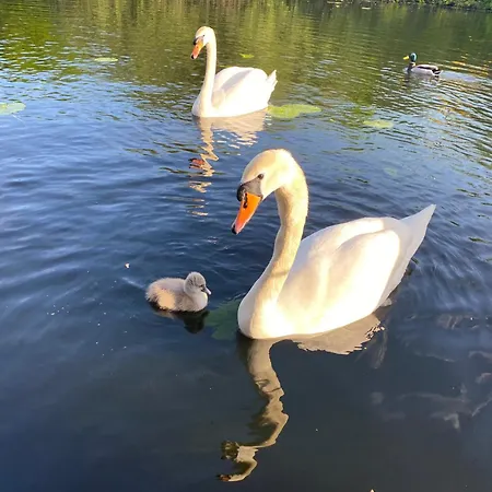 Unieke Woonark Met Privetuin En Free Parking. Apartman Rotterdam