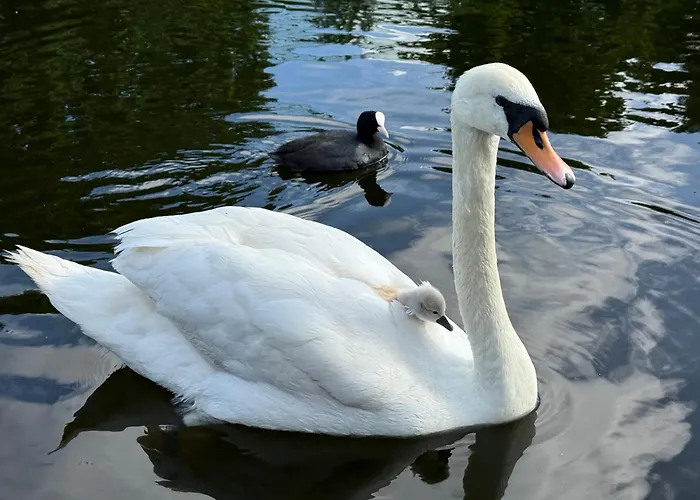 Unieke Woonark Met Privetuin En Free Parking. Apartman