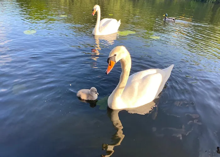 Unieke Woonark Met Privetuin En Free Parking. Apartman Rotterdam