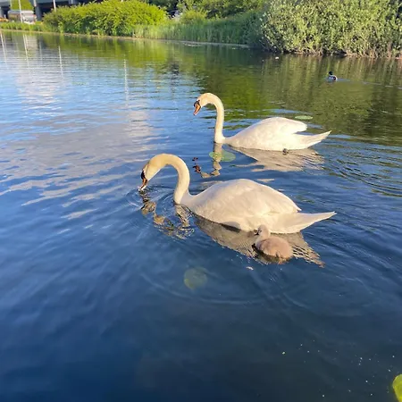 アパート Unieke Woonark Met Privetuin En Free Parking. ロッテルダム