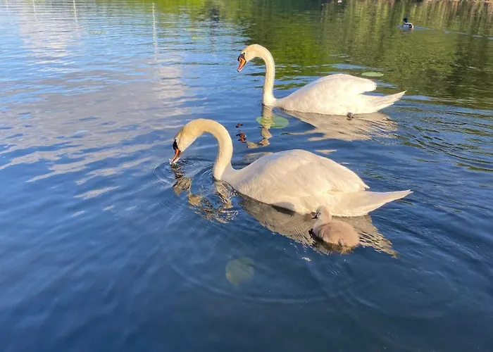 Διαμέρισμα Unieke Woonark Met Privetuin En Free Parking. Ρότερνταμ